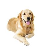 pixwords RETRIEVER