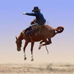 pixwords RODEÓ