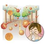 pixwords ALLERGIA