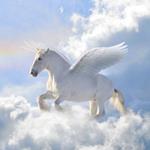 pixwords PEGAZUS