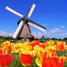 pixwords HOLLAND