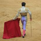 pixwords MATADOR