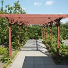 pixwords PERGOLA